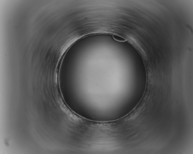 X0000103320900200809121145