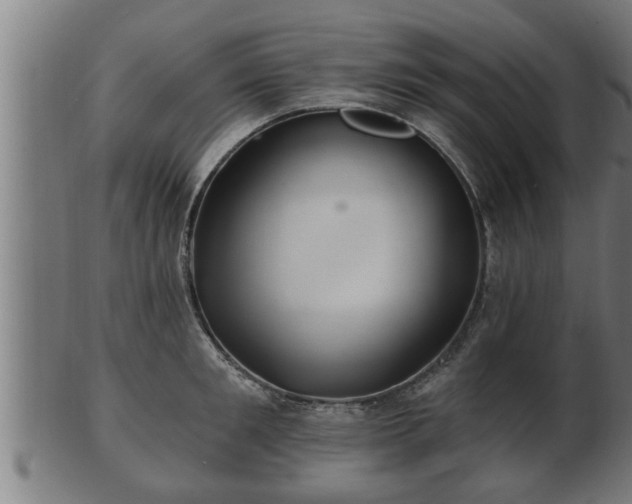 X0000103320901200809121145