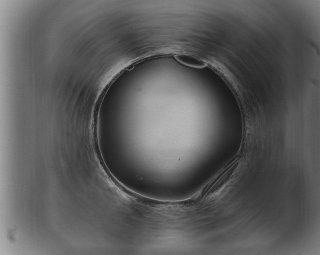 X0000103320902200809121145