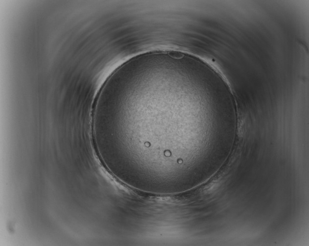 X0000103320903200809121145