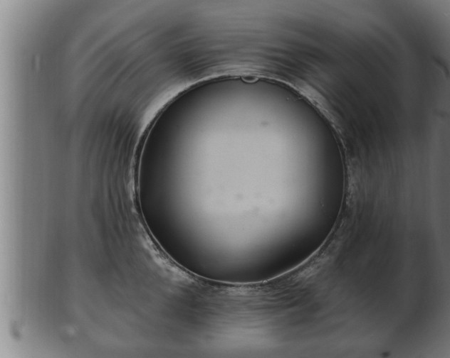 X0000103320904200809121145