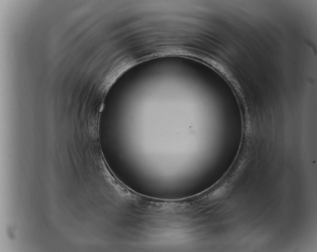 X0000103320905200809121145