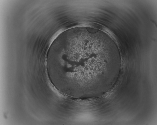 X0000103320907200809121145