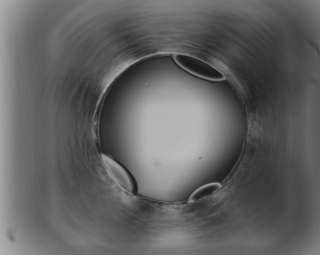 X0000103320908200809121145