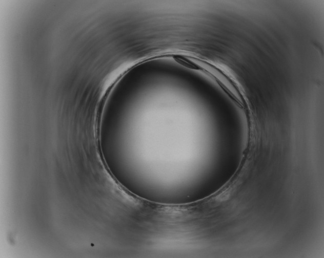 X0000103320910200809121145