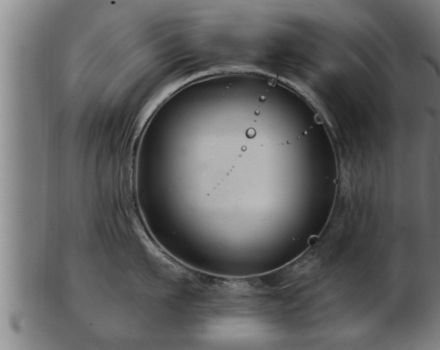 X0000103320911200809121145