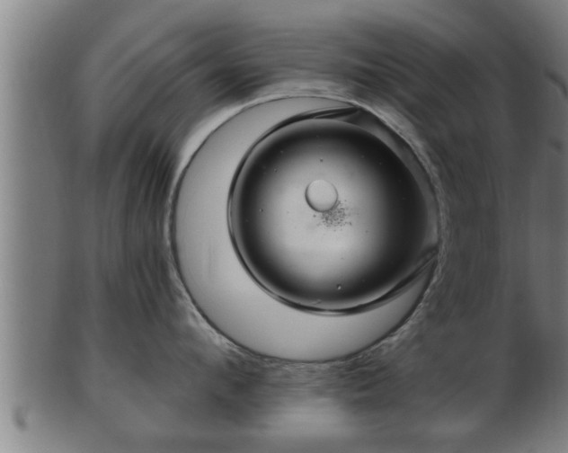 X0000103320912200809121145