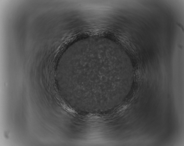 X0000103320913200809121144