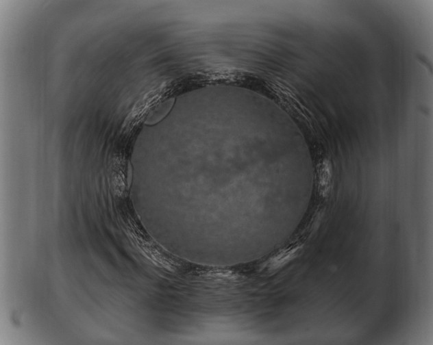 X0000103320916200809121144