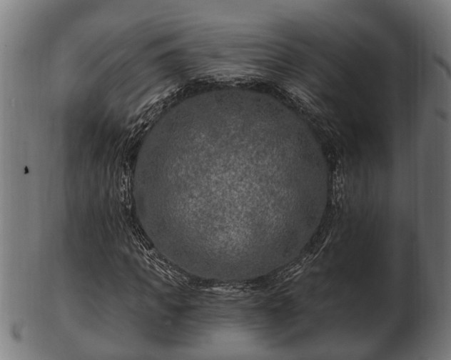 X0000103320917200809121144