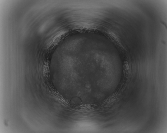 X0000103320918200809121144