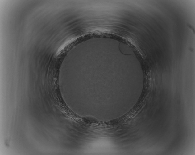 X0000103320919200809121144