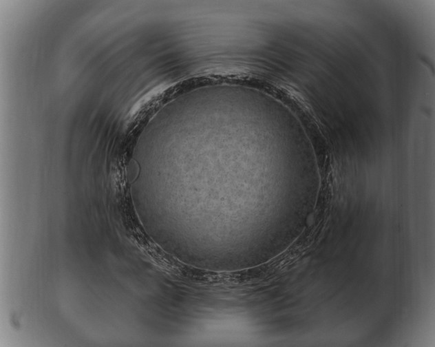 X0000103320920200809121144