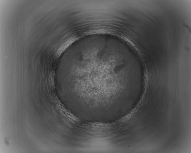 X0000103320921200809121144