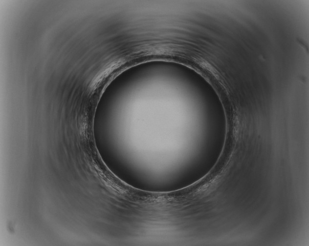 X0000103320922200809121144