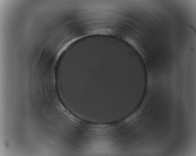 X0000103320923200809121144