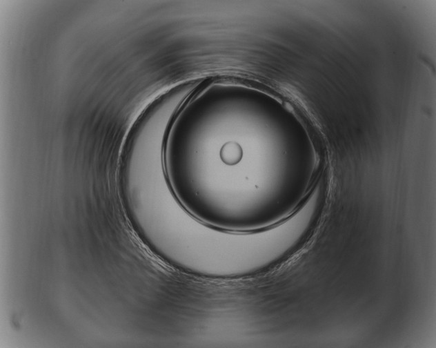 X0000103320924200809121144