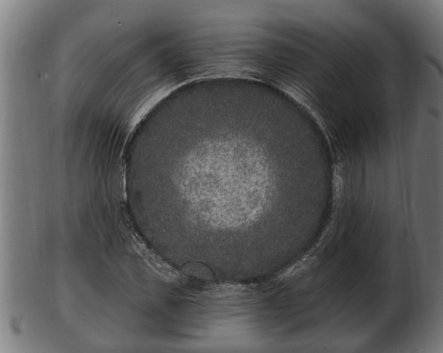 X0000103320925200809121144