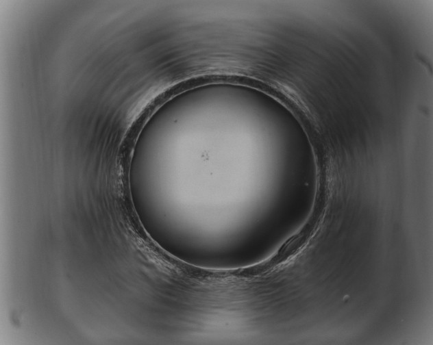 X0000103320926200809121144