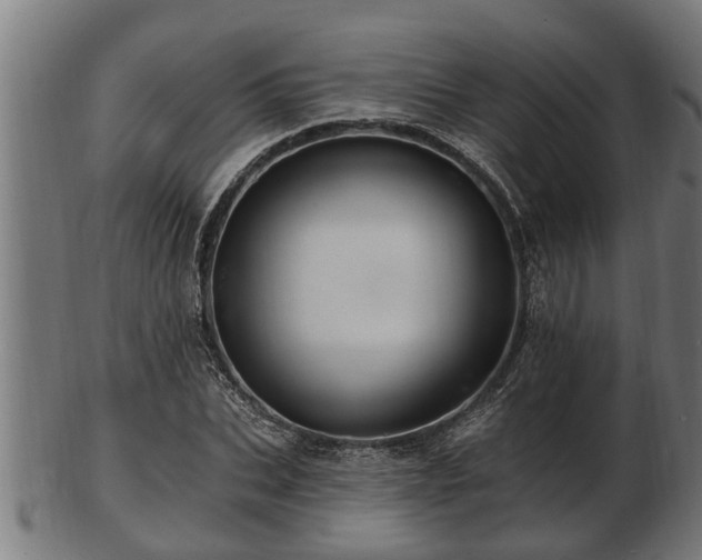 X0000103320927200809121144