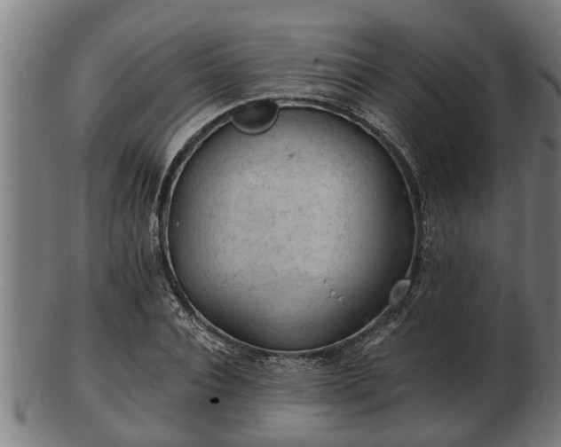 X0000103320928200809121144