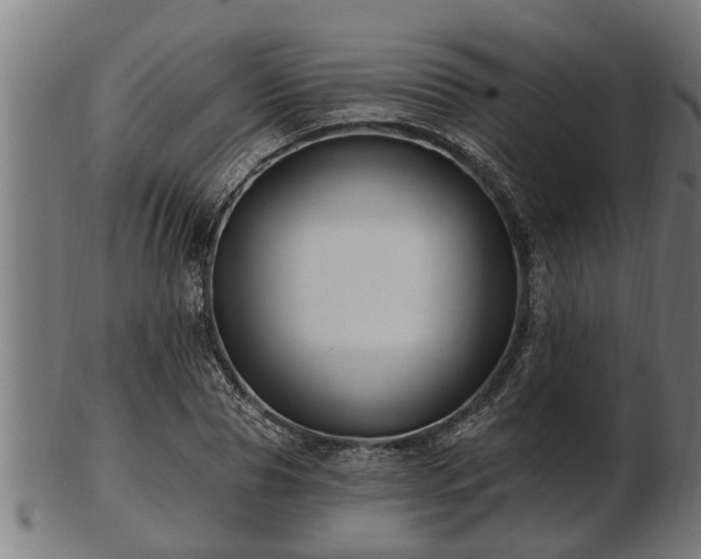 X0000103320929200809121144