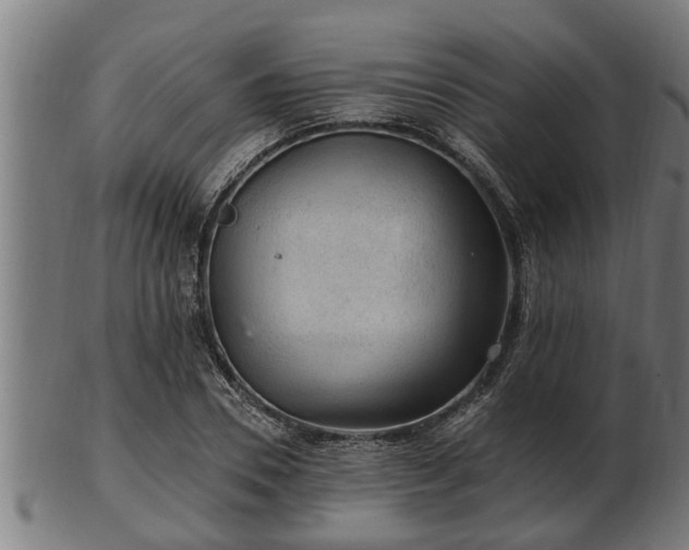 X0000103320930200809121144