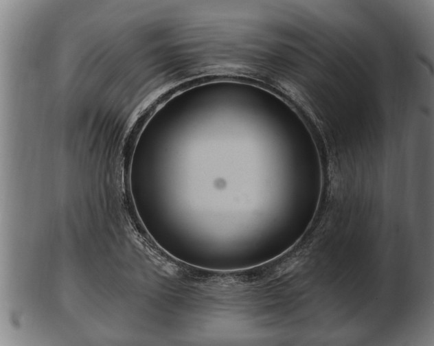 X0000103320931200809121144