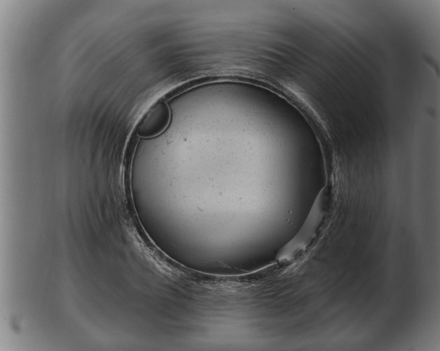 X0000103320932200809121144