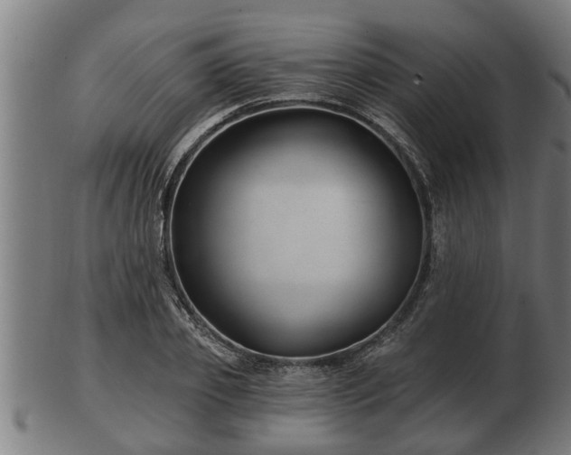 X0000103320933200809121144