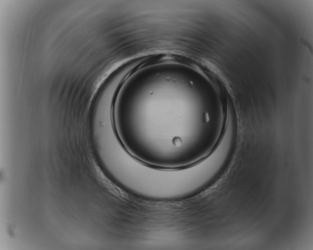 X0000103320934200809121144