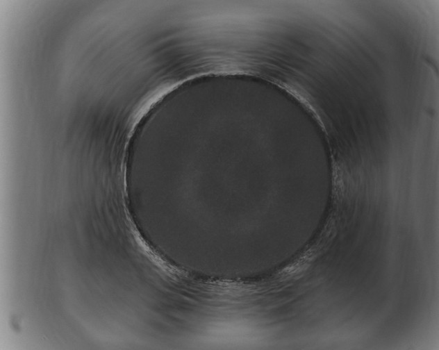 X0000103320935200809121144