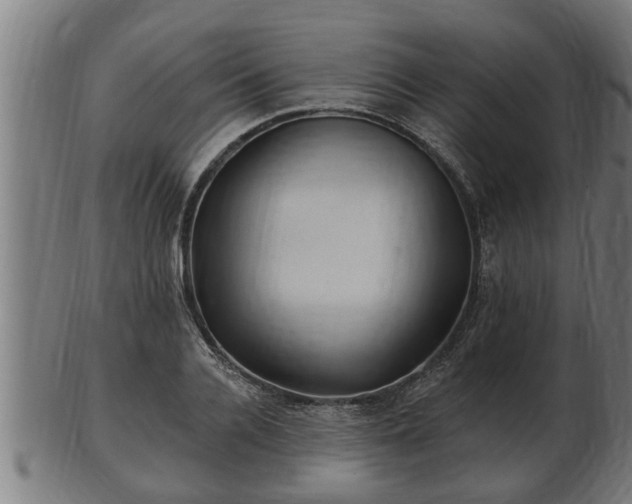 X0000103320936200809121144