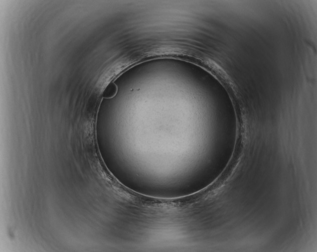 X0000103320937200809121144