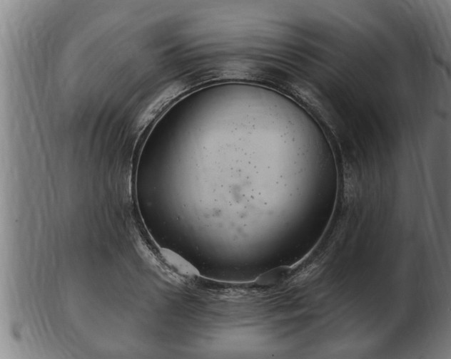 X0000103320938200809121145