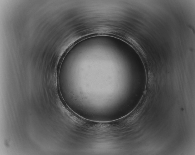 X0000103320939200809121145