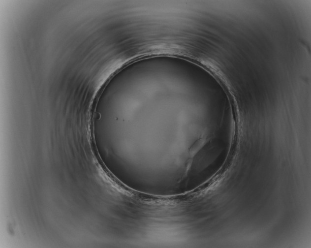 X0000103320941200809121145