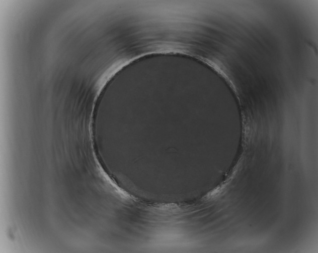 X0000103320943200809121145