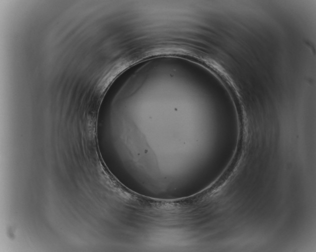 X0000103320945200809121145