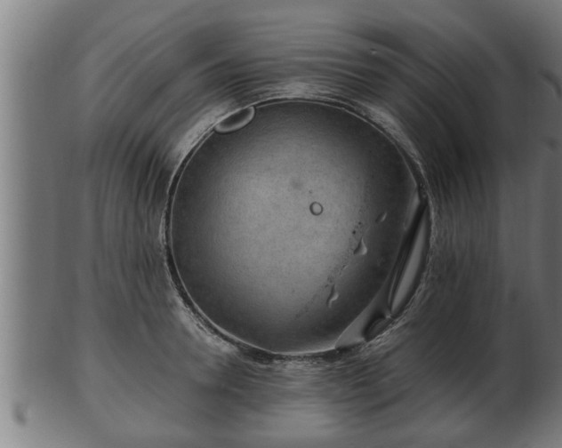 X0000103320946200809121145