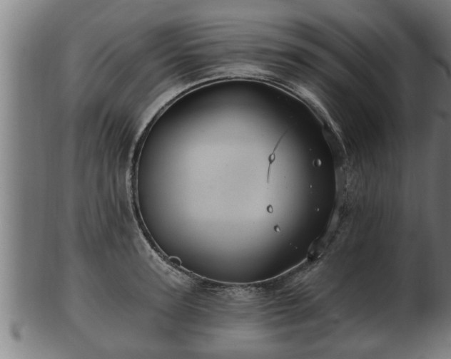 X0000103320947200809121145