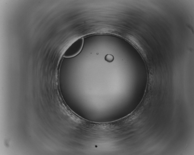 X0000103320948200809121145