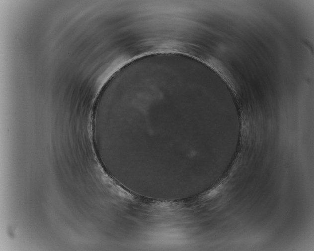 X0000103320950200809121145