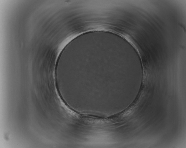 X0000103320951200809121145