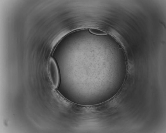 X0000103320952200809121145