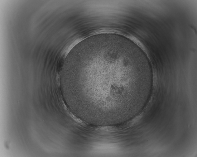 X0000103320953200809121145