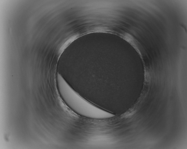 X0000103320954200809121145