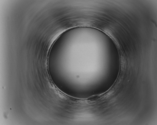 X0000103320956200809121145