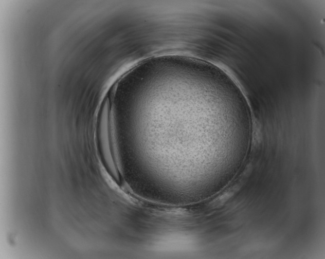 X0000103320957200809121145