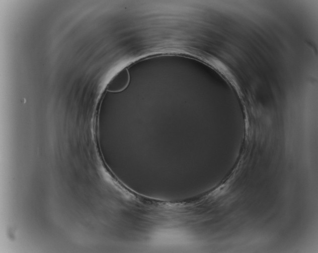 X0000103320958200809121145